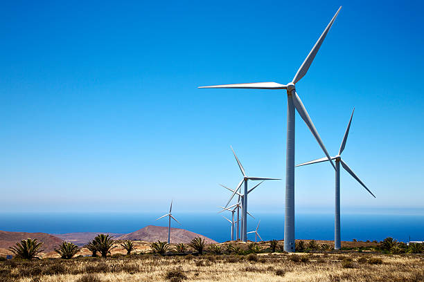 Three wind power agreements are signed by South Africa to reduce blackouts.