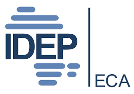 IDEP Webinar Explores Clean Energy Strategy for Africa Ahead of 9th Africa Regional Forum on Sustainable Development