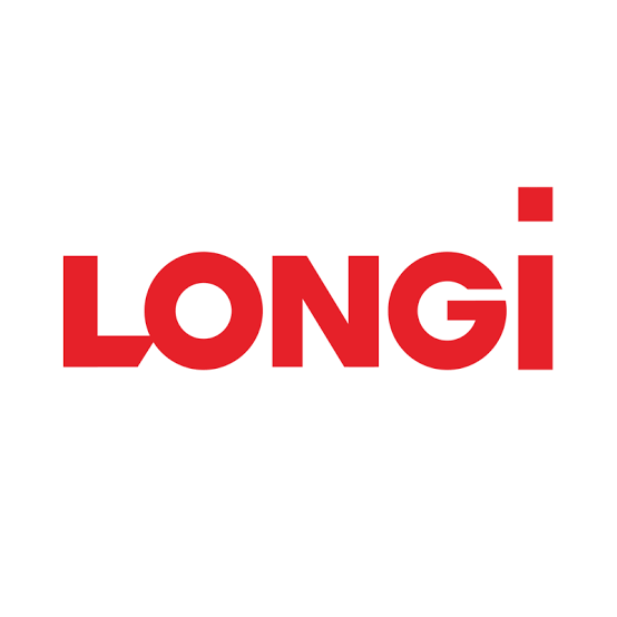 LONGi Introduces Green Electricity & Green Hydrogen Solution in Egypt