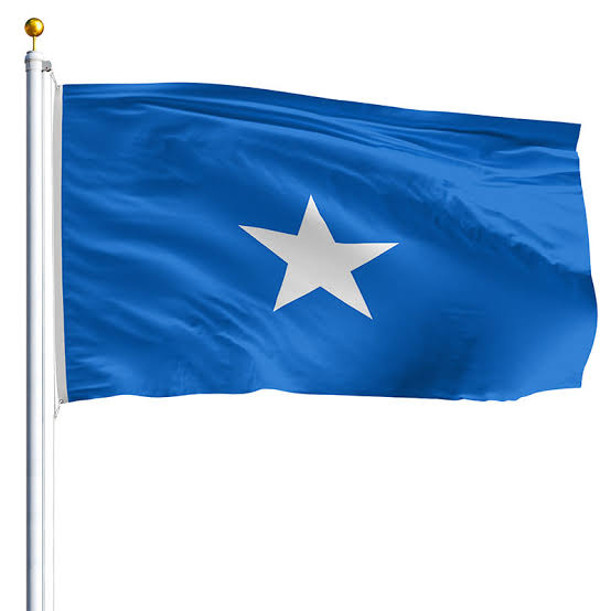 Somalia grants Turkey 90% stake in oil and gas deal.