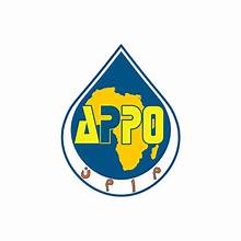 African Petroleum Producers Organization Pushes Energy Security Plan